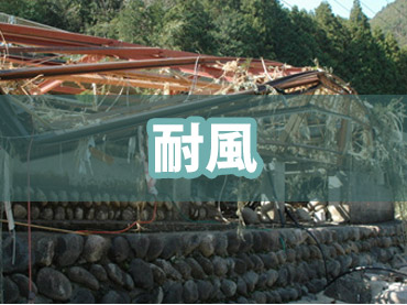 耐風性