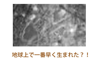 地球上で一番早く生まれた!?